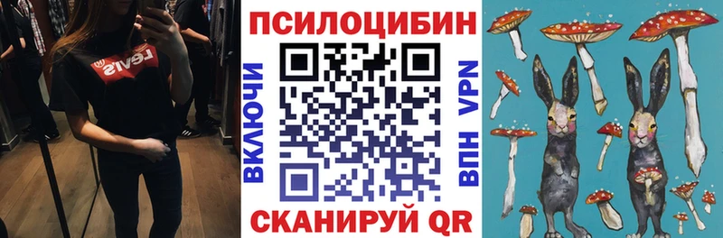 Псилоцибиновые грибы Magic Shrooms  Купить закладки  Фролово 